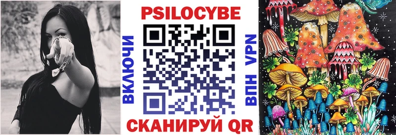 Псилоцибиновые грибы Psilocybe  Купить где  Ахтубинск 