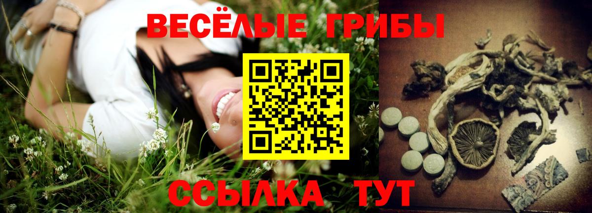 Псилоцибиновые грибы мицелий Ахтубинск