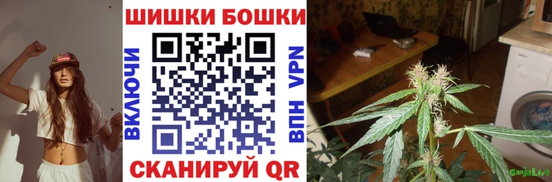Купить где  Ахтубинск  Бошки Шишки Ganja 